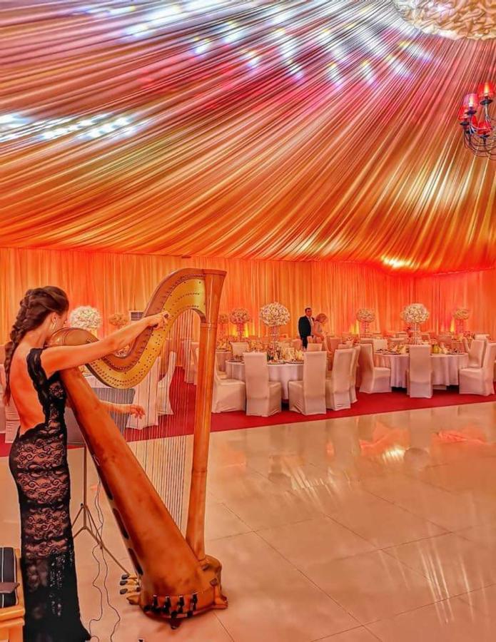 Hotel Dennis Mediaş Dış mekan fotoğraf