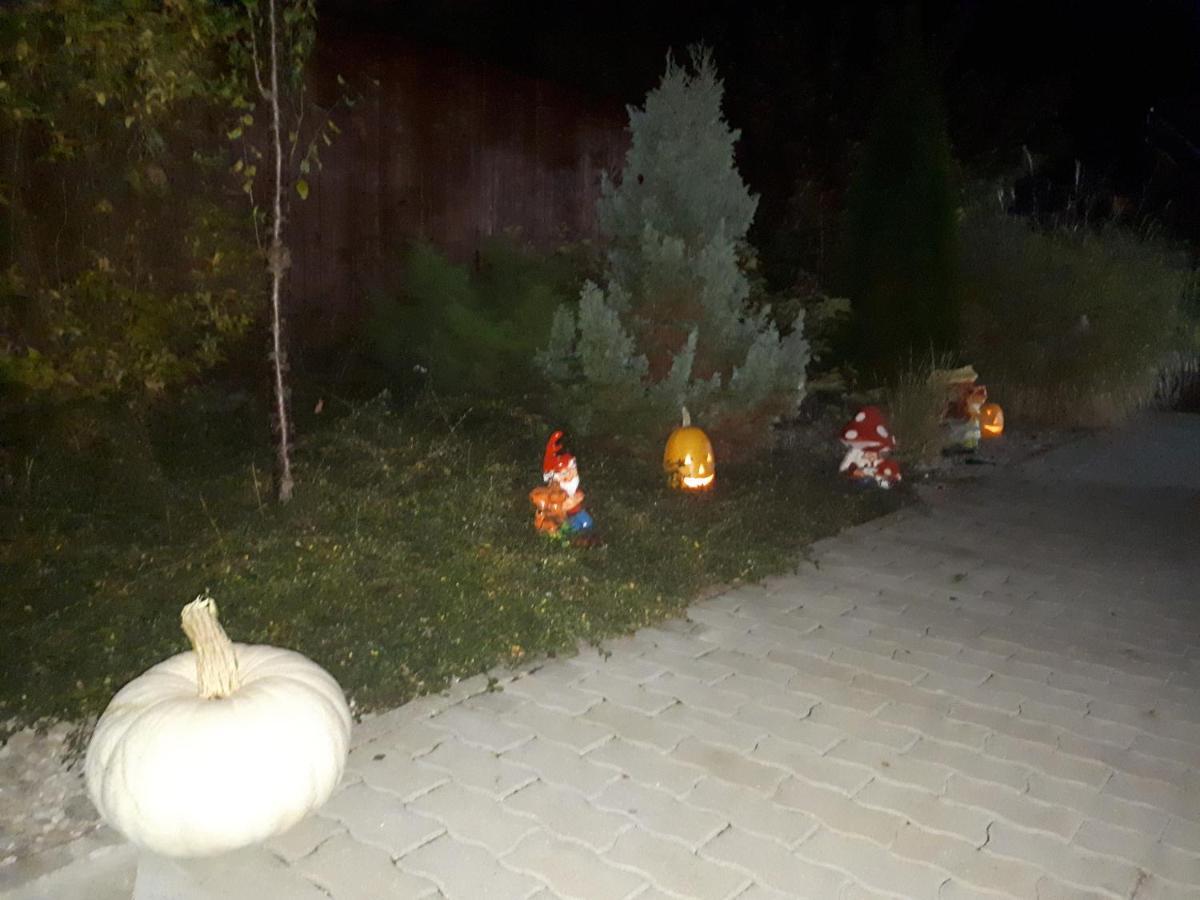 Hotel Dennis Mediaş Dış mekan fotoğraf