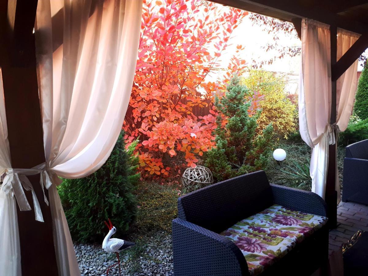 Hotel Dennis Mediaş Dış mekan fotoğraf